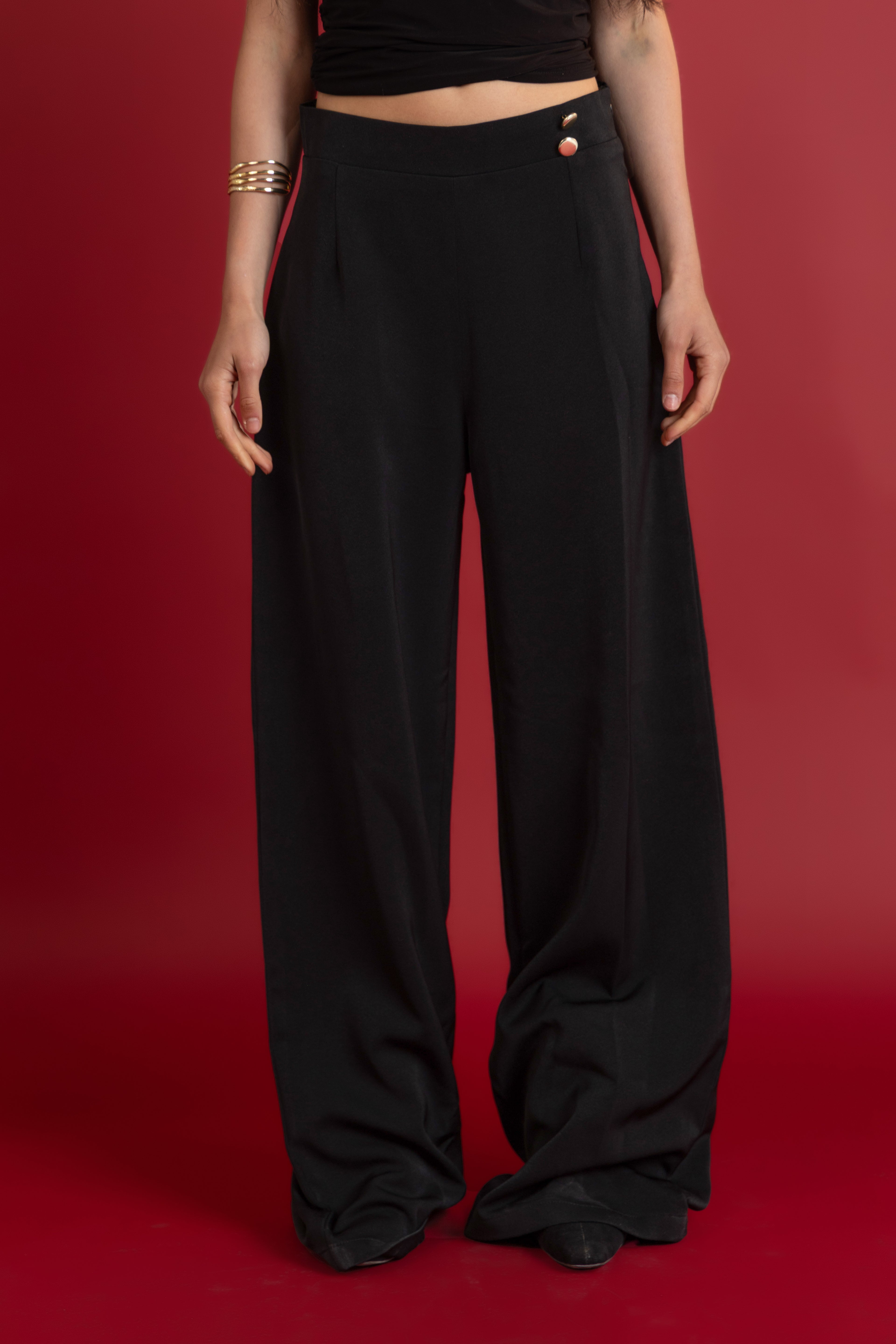 Person wearing black wide-leg pants on a red background